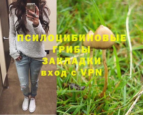 круглые Алексеевка
