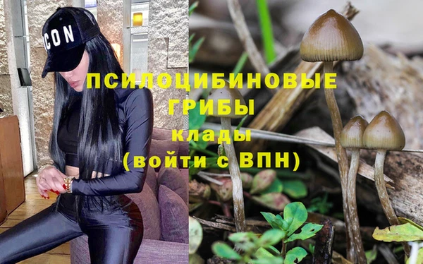 ALPHA PVP Арсеньев