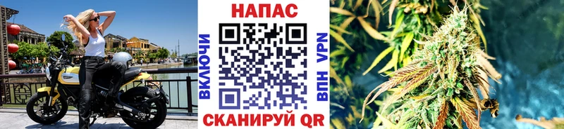 Шишки марихуана план  shop какой сайт  Новоульяновск  MEGA ТОР 